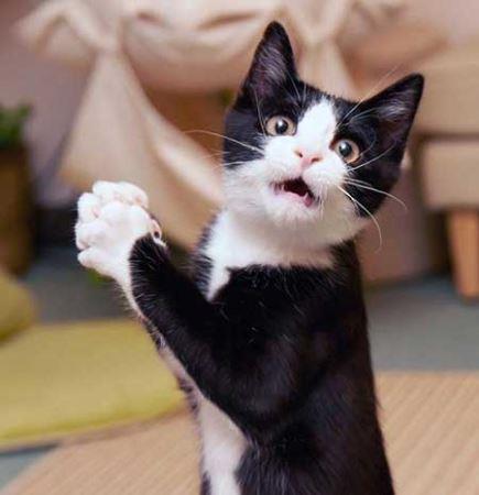 سوپر کودکی که شما را غافلگیر می کند!