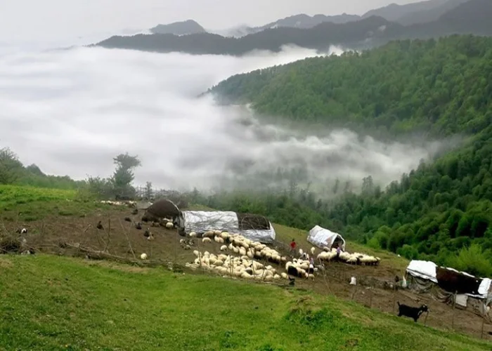 سفر از رشت به ماسال
